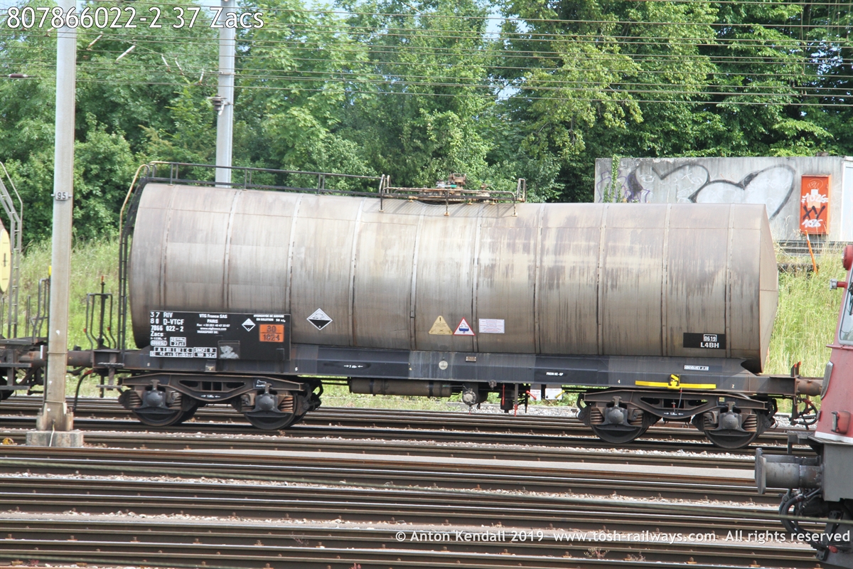 807866022-2_37 Zacs.JPG